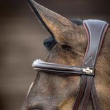 LeMieux Kudos Competition Flash Bridle