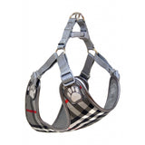 Pretty Paw Windsor Monarch Step-In Pet Harness
