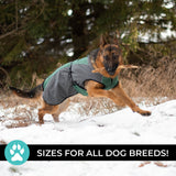 Shedrow K9 Chinook Dog Coat