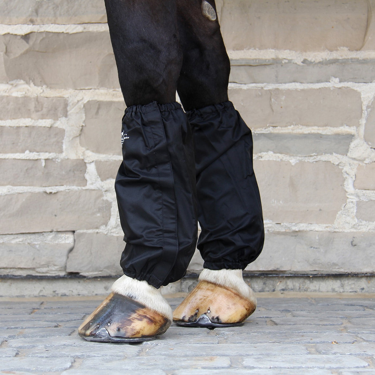 Couvre-bottes SMC3 de choix professionnel