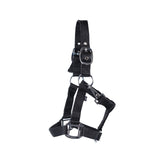 Supra Mini Halter W- Breakaway