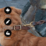 Shedrow K9 Bristol Laisse en cuir torsadé 5 pi.