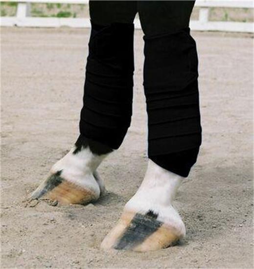 Bandages de polo Vac's - Poney