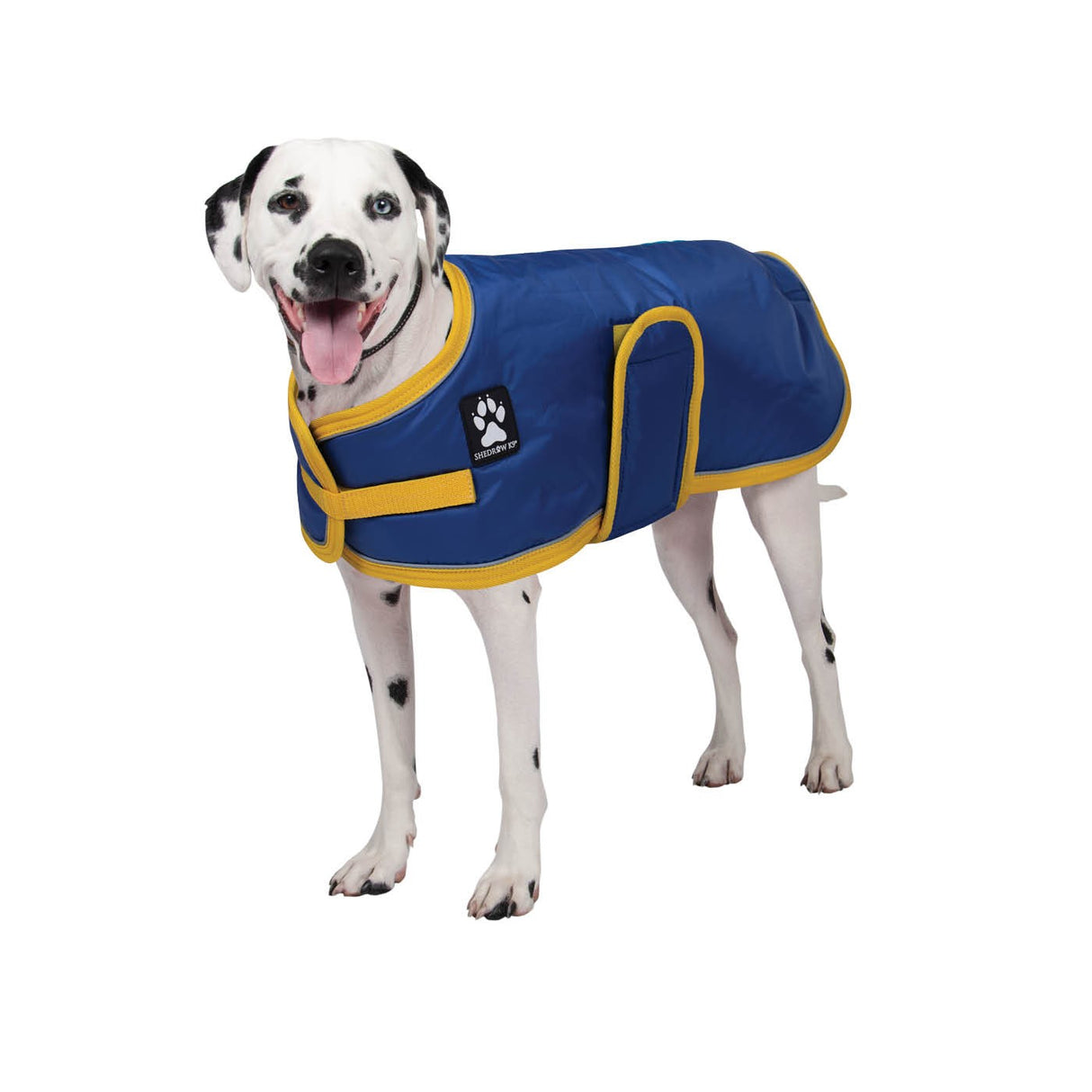 Manteau pour chien Shedrow K9 Tundra