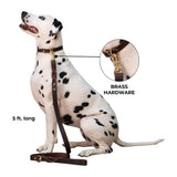 Shedrow K9 Bristol Laisse en cuir torsadé 5 pi.
