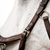 Rambo Micklem Deluxe Competition Bridle W- Reins