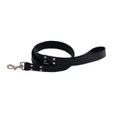 Shedrow K9 Tofino II Waterproof Leash 5 Ft.