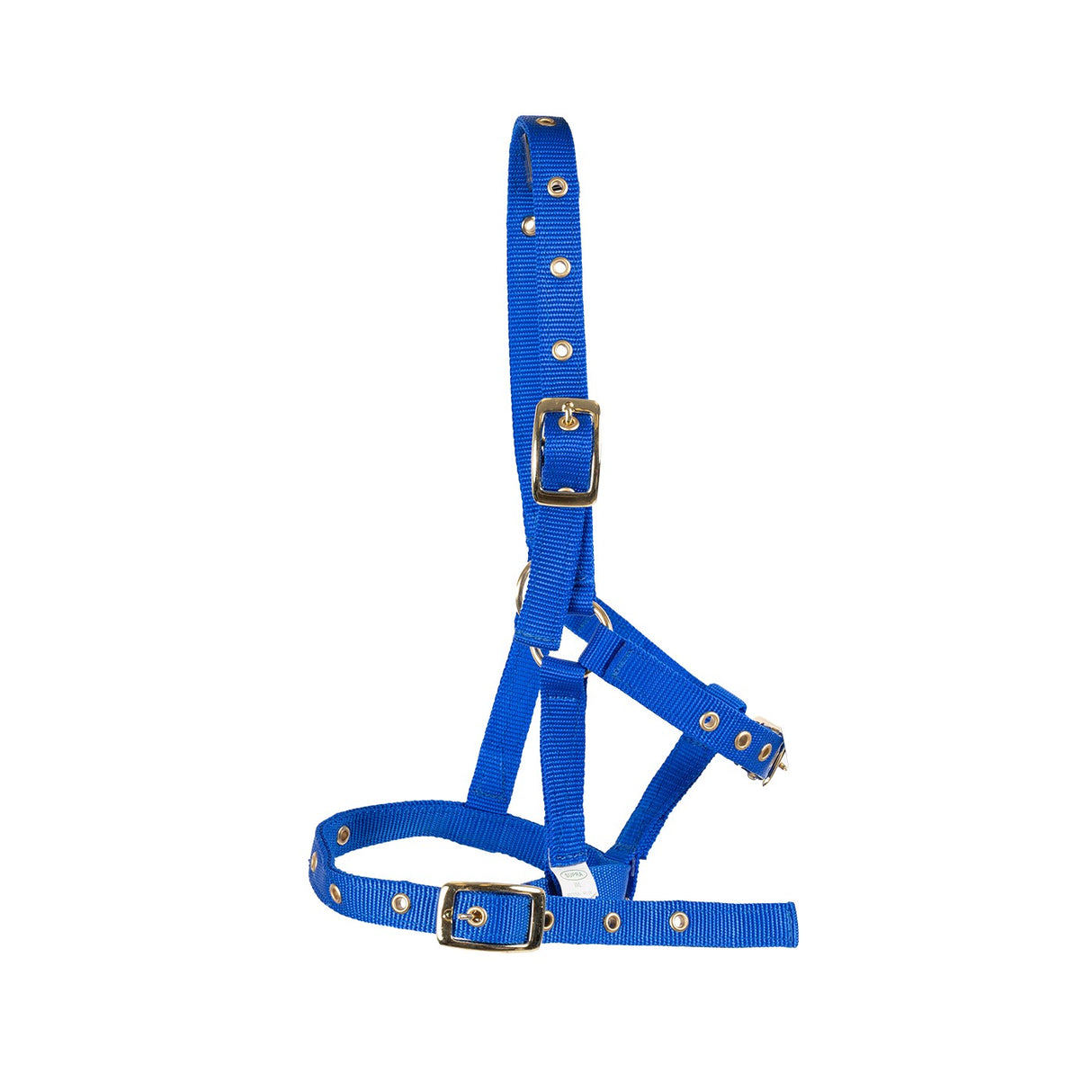 Licol Supra pour poulain