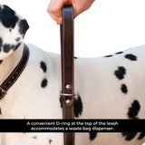 Shedrow K9 Richmond Top Stitch Leather Leash 5 Ft.