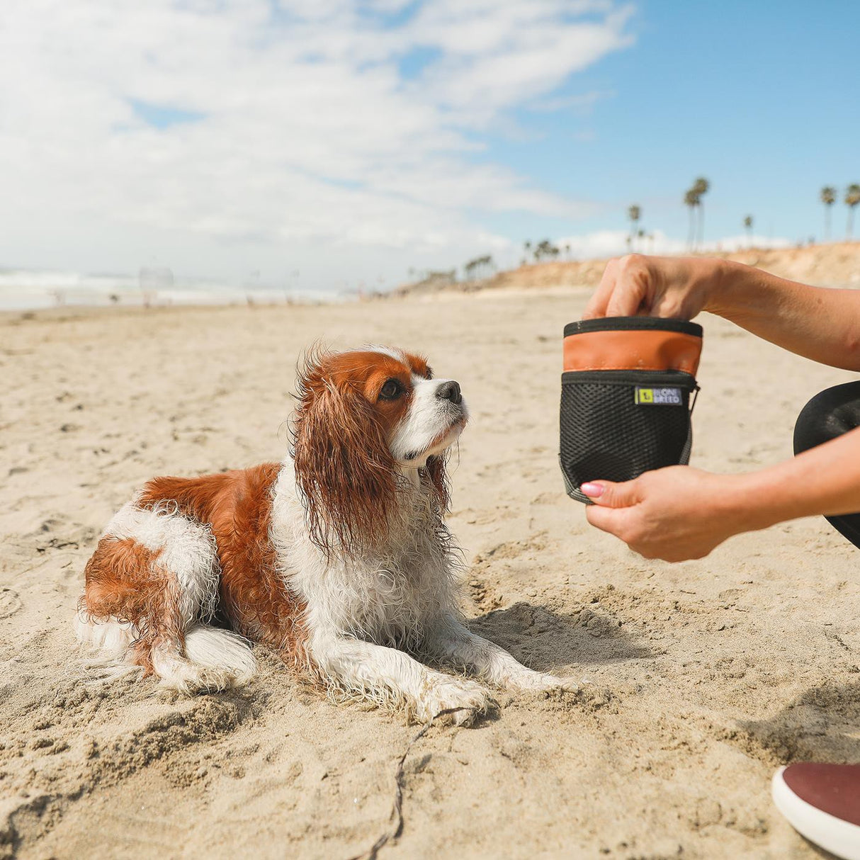 Be One Breed Compact Treat Pouch