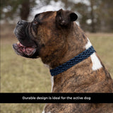 Shedrow K9 Rideau Corde tressée et collier en cuir