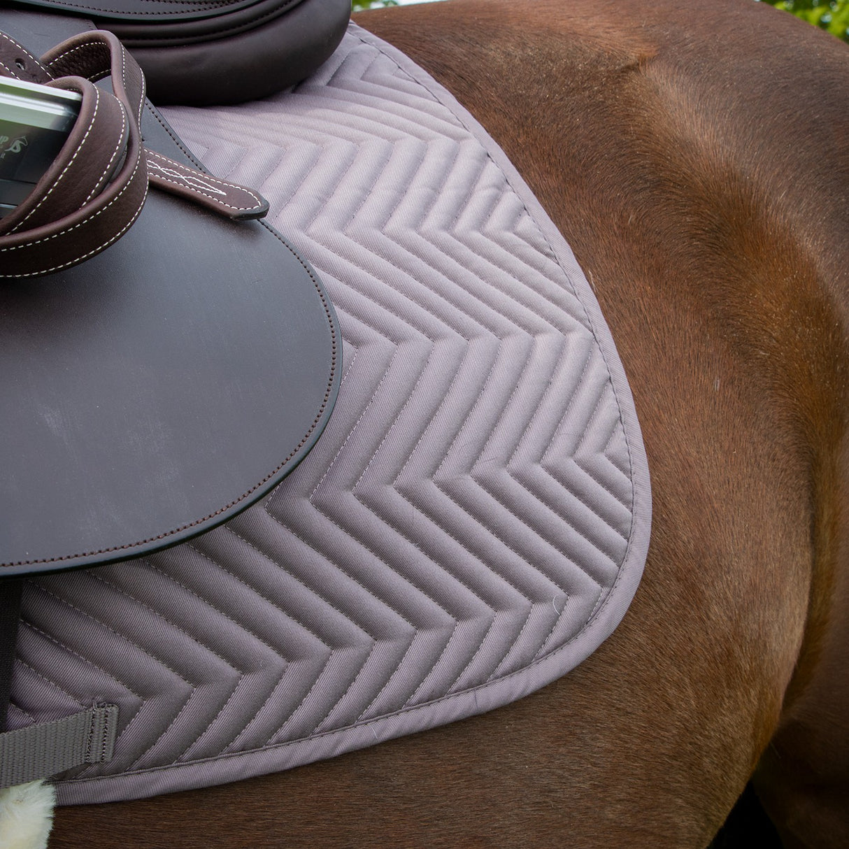 Tapis de selle Supra Every Day Essential