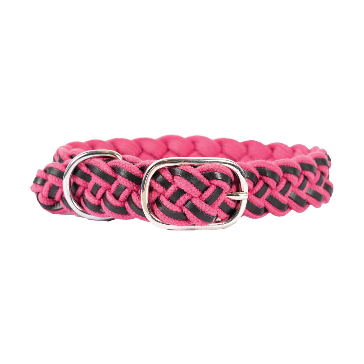 Shedrow K9 Rideau Braided Rope & Leather Collar