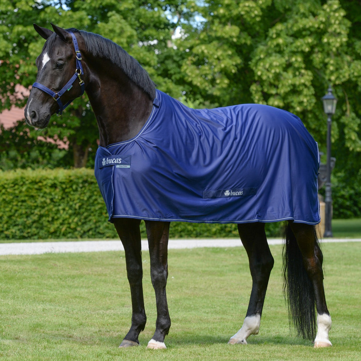 Bucas Power Cooler - Pony