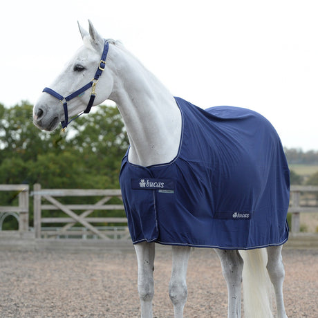 Bucas Power Cooler - Pony