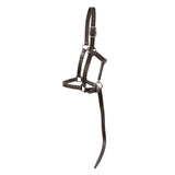 Val du Bois Foal Halter W- Catch Strap