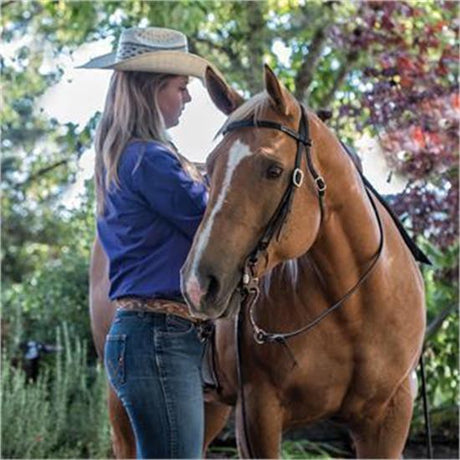 Copper Canyon Bridle Leather Browband Headstall W- Ties