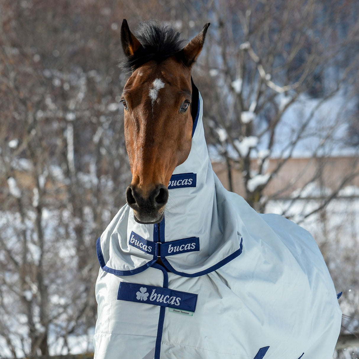 Bucas Power Turnout Combi Neck Extra