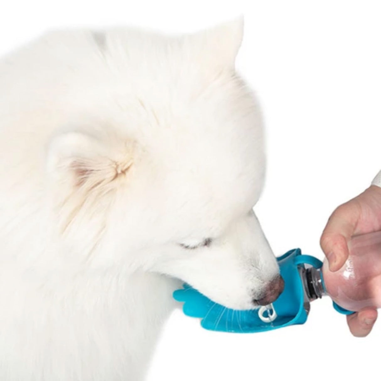 BRB Pets HydroSMART-Flex Bol d'eau polyvalent