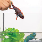 Caméléon sauvage Schleich