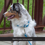 Collier imperméable Shedrow K9 Tofino II