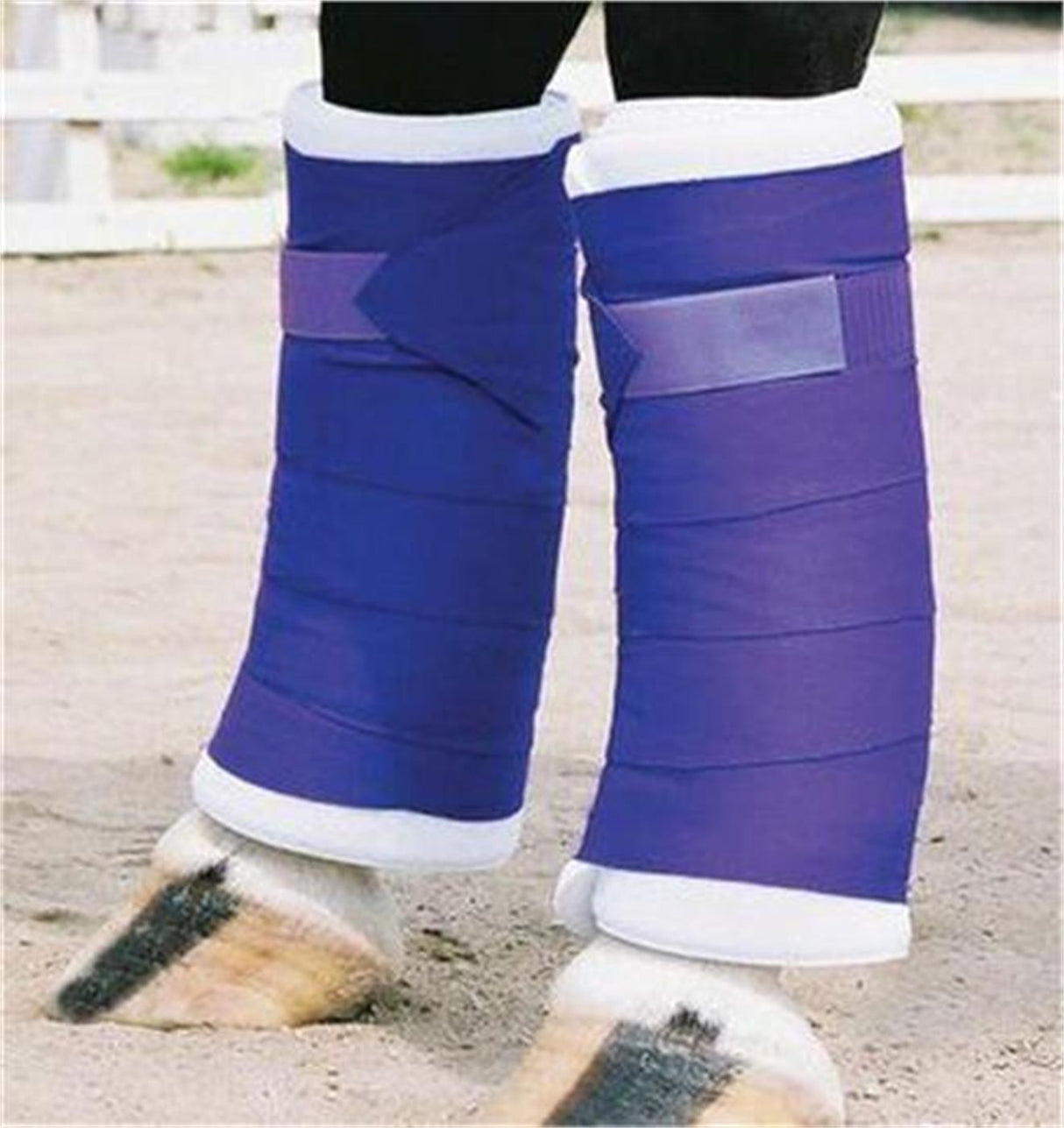 Shedrow Standing Bandages