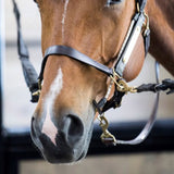 ThinLine Halter Busy Buddy