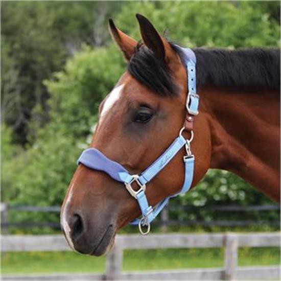 Shedrow Breakaway Halter W - Polaire