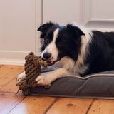Shedrow K9 Moose Rope Dog Toy