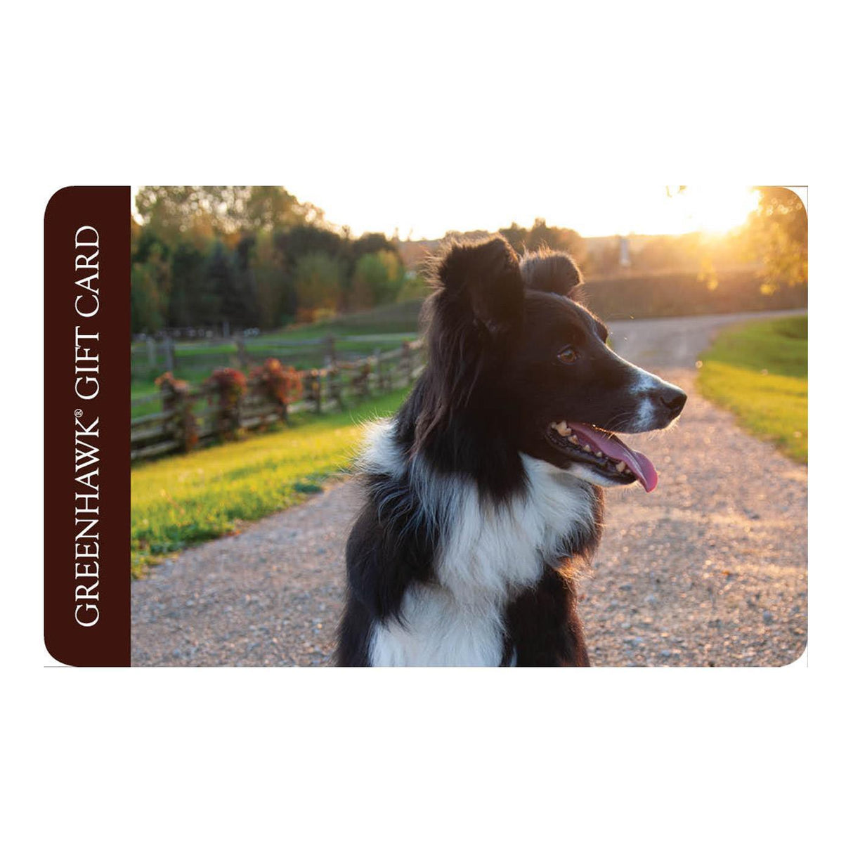 Carte-cadeau Greenhawk