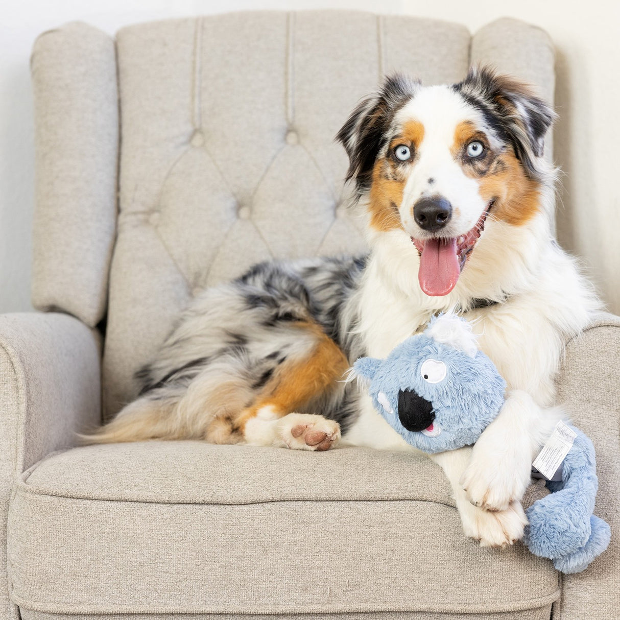 Lulubelles Power Plush Kirby Koala Dog Toy