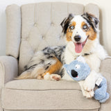 Lulubelles Power Plush Kirby Koala Dog Toy