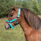 Supra Mini Halter W- Breakaway