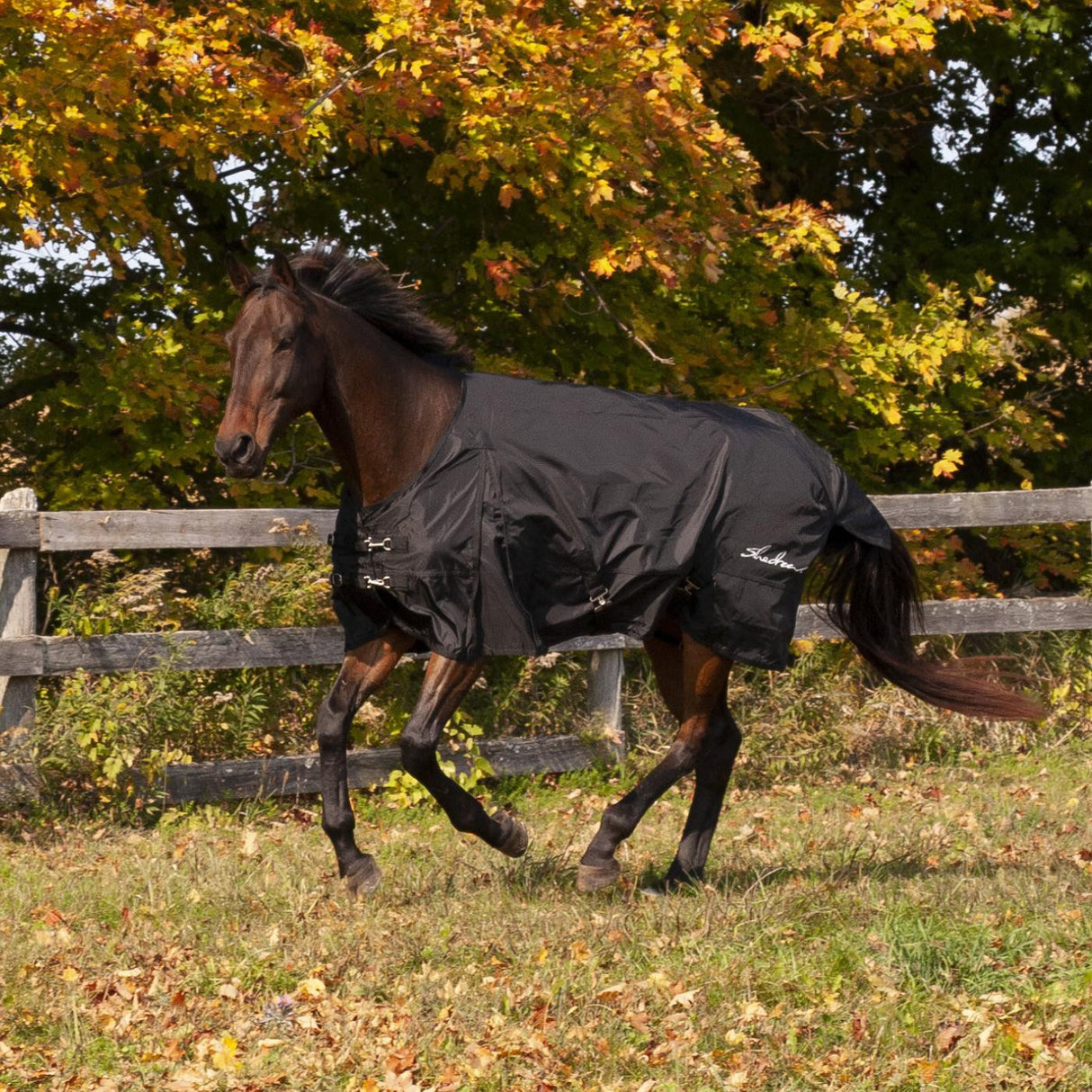 Drap de pluie Shedrow