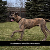 Shedrow K9 Rideau Corde tressée et collier en cuir