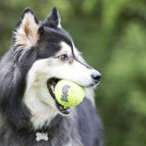 Kong Airdog Squeakair Ball Large