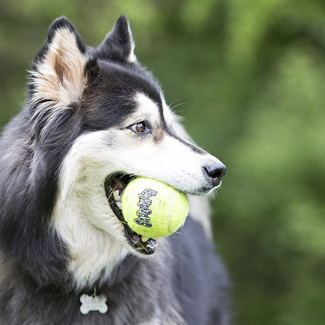 Kong Airdog Squeakair Ball Large
