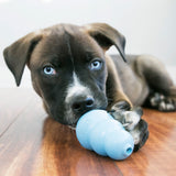 Kong Chiot