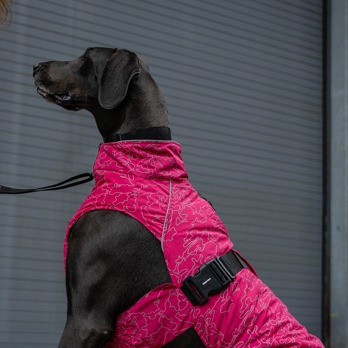 Canada Pooch The Expedition Dog Coat 2.0