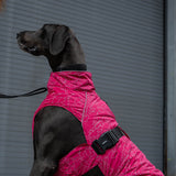 Canada Pooch The Expedition Dog Coat 2.0
