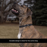 Shedrow K9 Rideau Corde tressée et collier en cuir