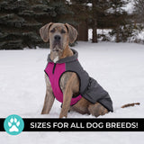 Manteau pour chien Shedrow K9 Chinook