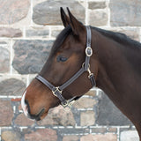 Val du Bois Convertible Leather Grooming Halter