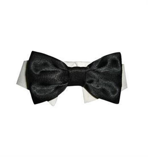 Pooch Outfitters Dog Shirt Collar W- Satin Bowtie