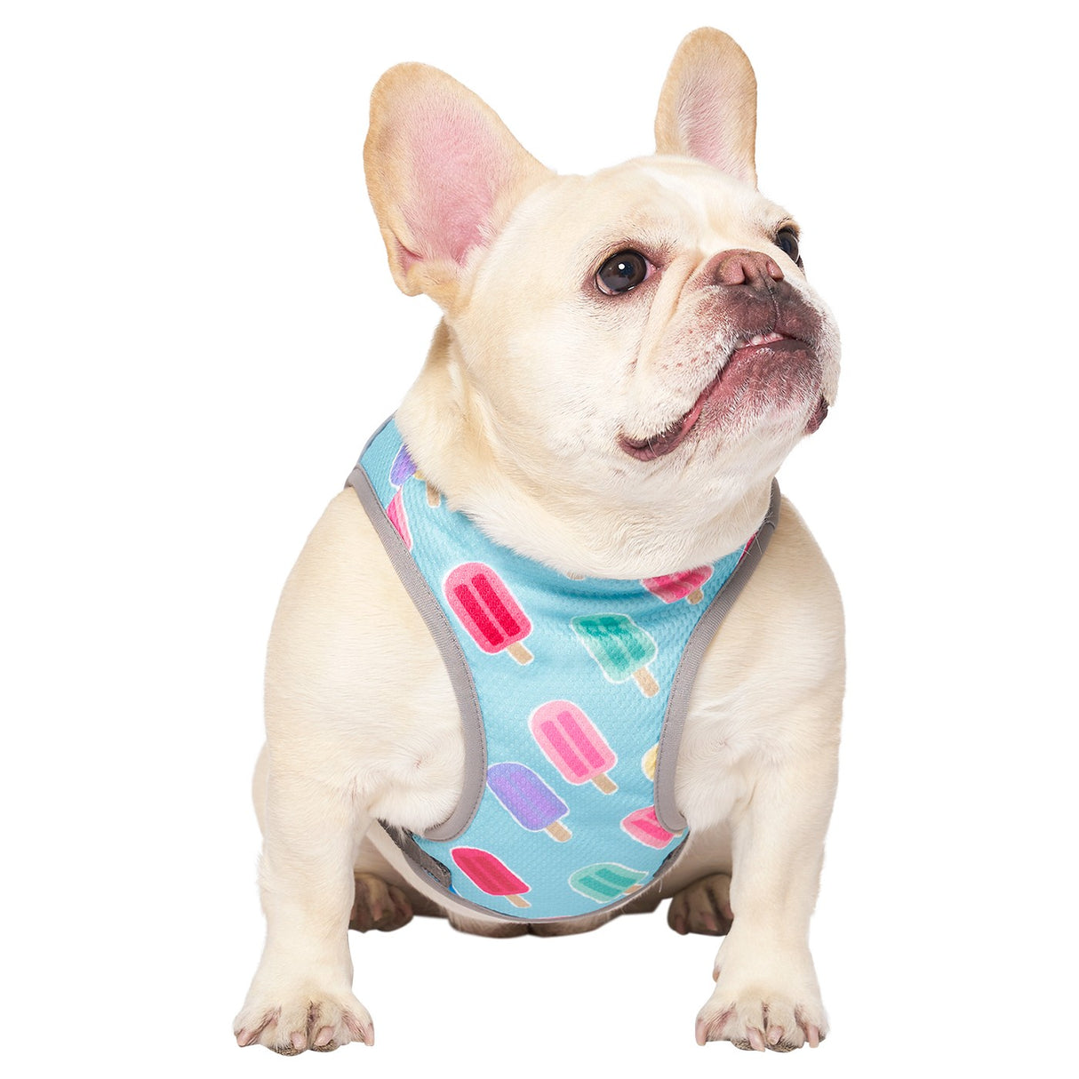 Canada Pooch Chill Seeker Gilet rafraîchissant pour chien