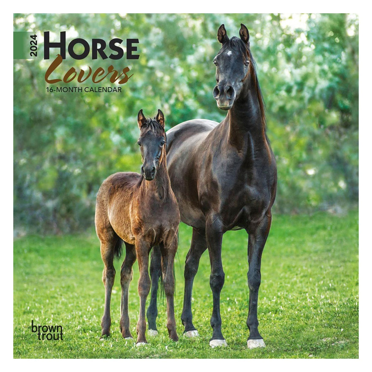 BrownTrout Horse Lovers 2024 Mini calendrier carré