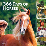 BrownTrout 366 Days of Horses 2024 Square Calendar