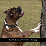 Shedrow K9 Rideau Corde tressée et collier en cuir