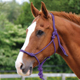 Copper Canyon Rope Halter W- Lead