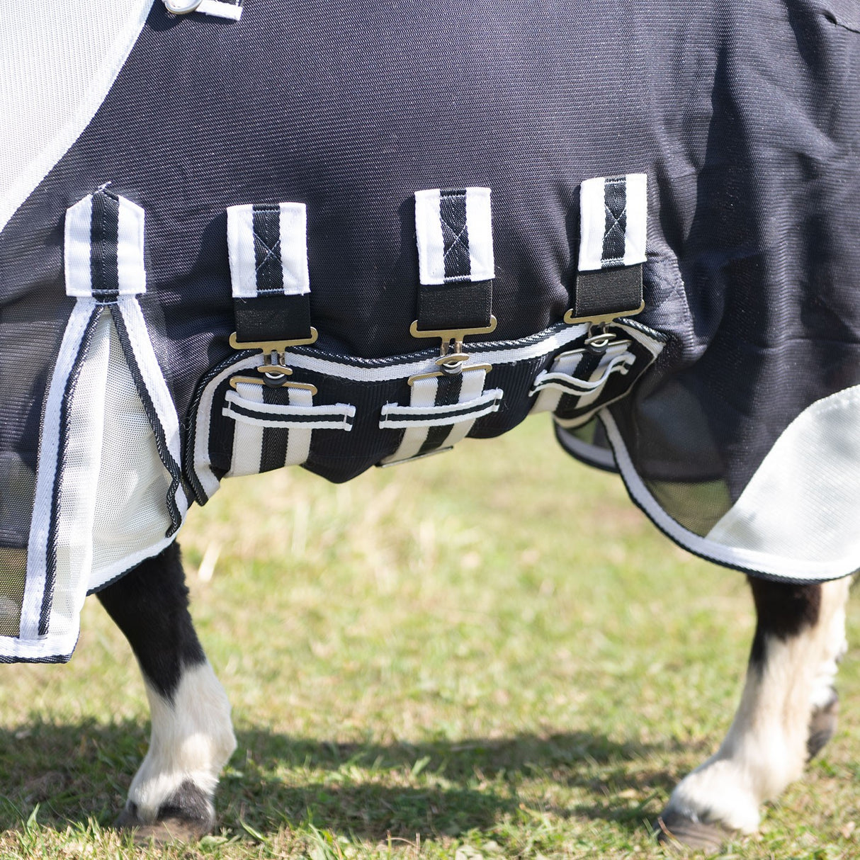 Supra Miniature Fly Sheet W- Belly Band & Fly Mask
